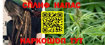 МДПВ Будённовск