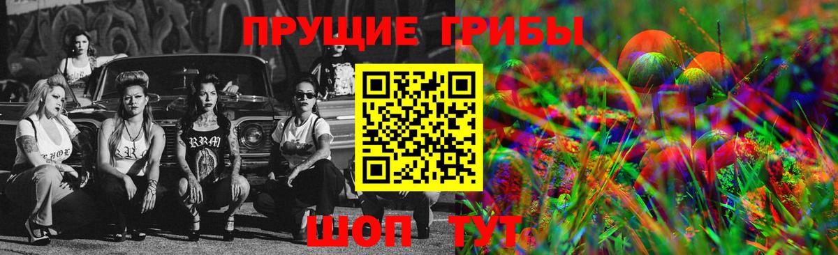 Партизанск  Псилоцибиновые грибы GOLDEN TEACHER  Вход с VPN 