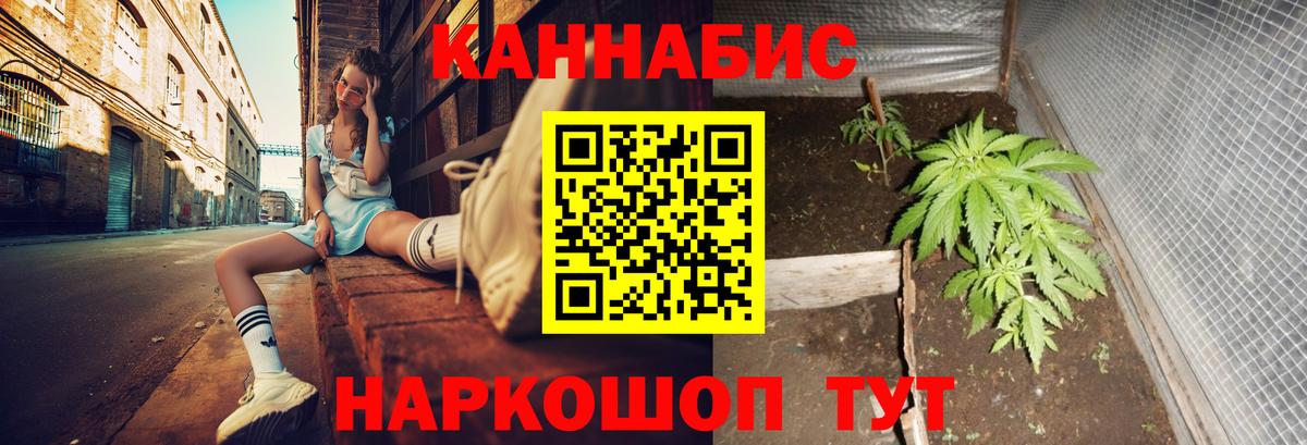 Конопля гибрид  Вход с VPN  Партизанск  Конопля индика 